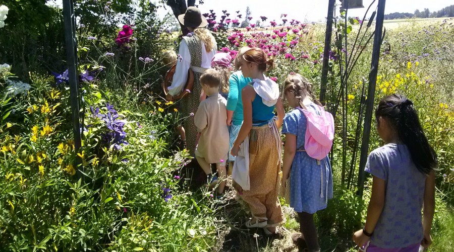 Nature walk with Ana Bradley summer camp