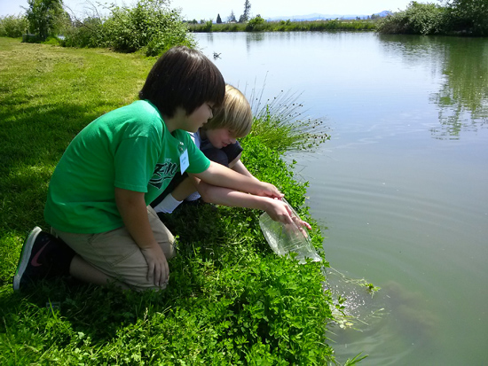 into pond for web