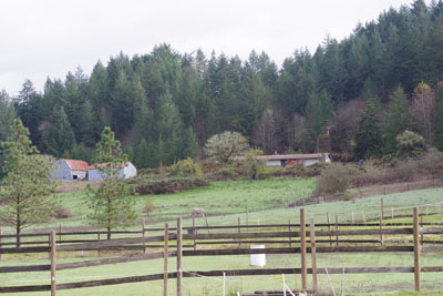 animal rescue teaching in Eugene oregon