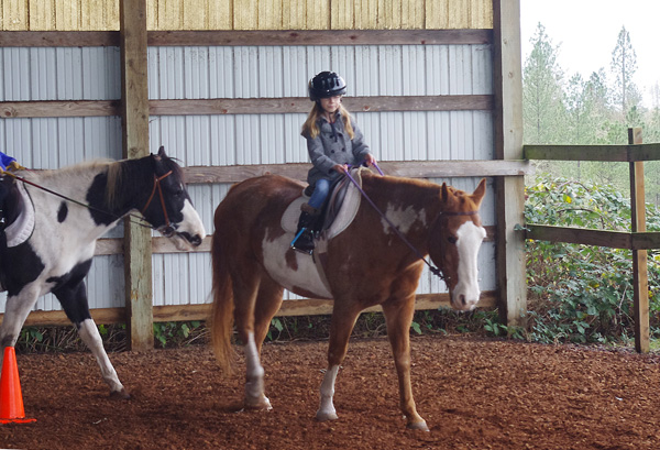 Horse Riding Day at Animal Rescue Teaching