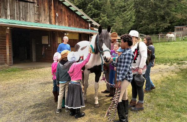 brushing a horse at animal resucue teaching in Eugene