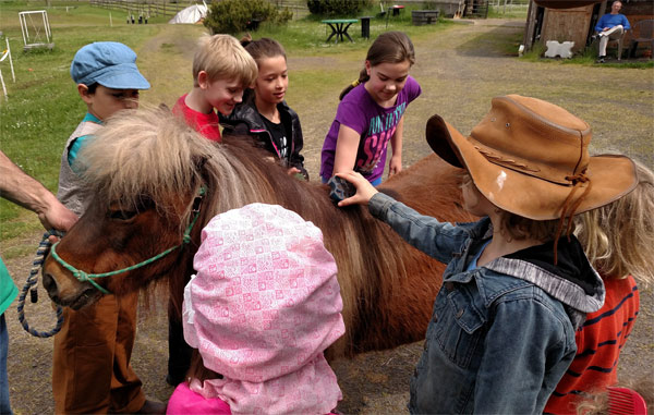 kids brushing a pony at Animal Rescue Teaching