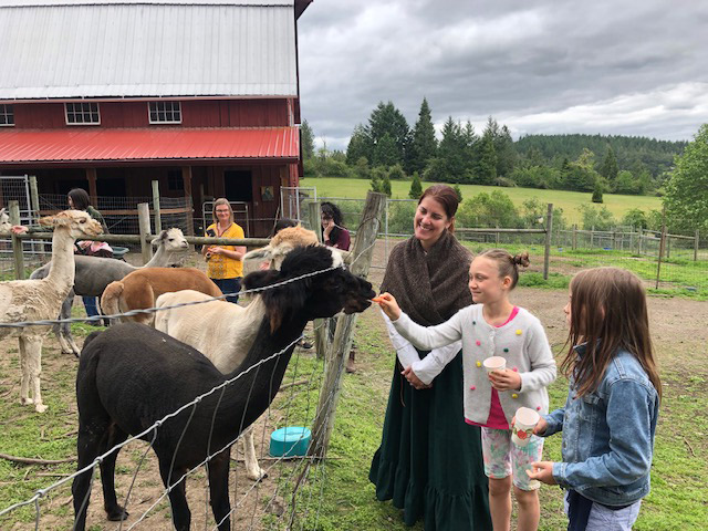 alpaca farm visit singing creek educational center