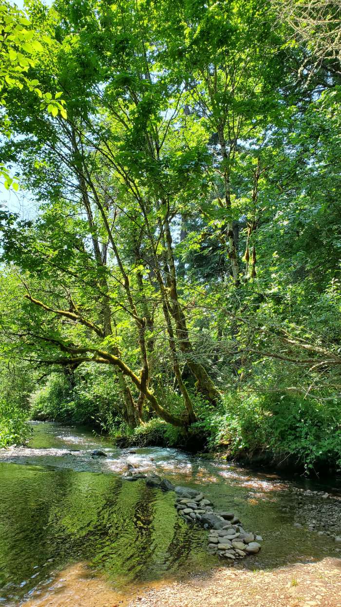 roaring river park scio oregon kalapuya