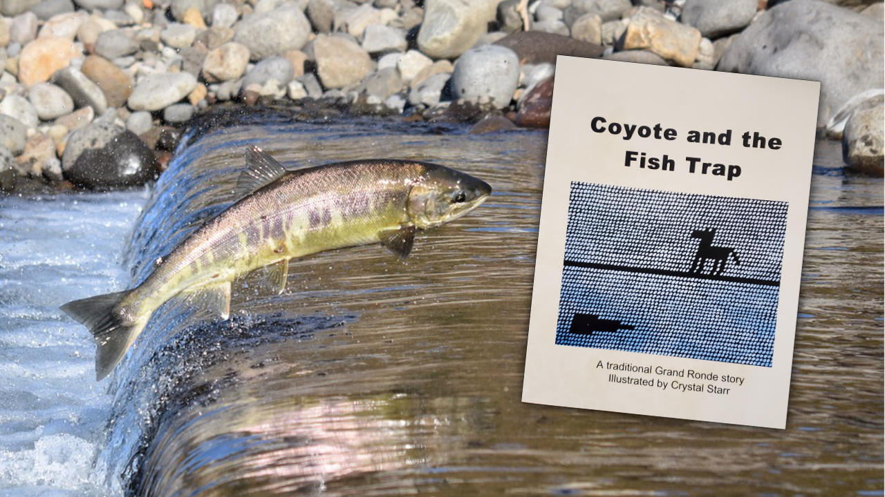 Coyote and the Fish trap storybook activity for kids acorn circle