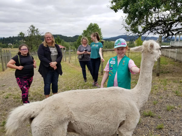 girl scout with alpaca