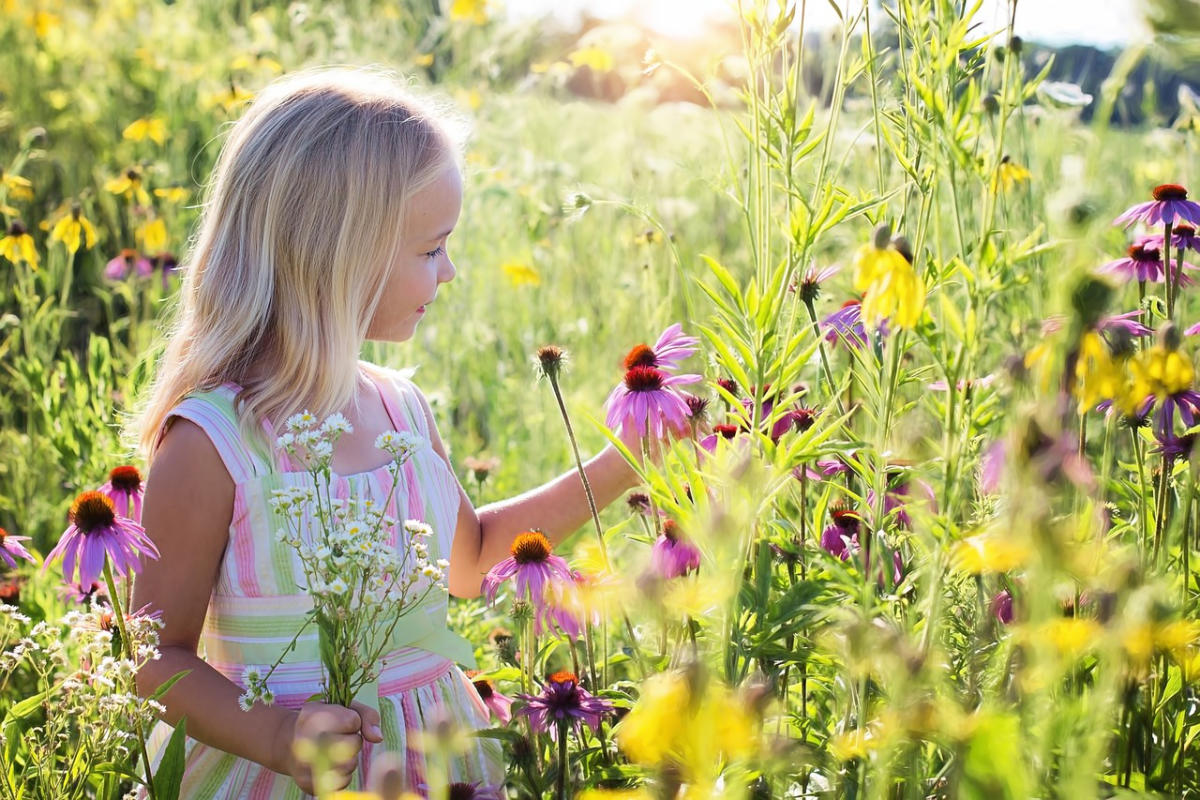 little girl picking flowers