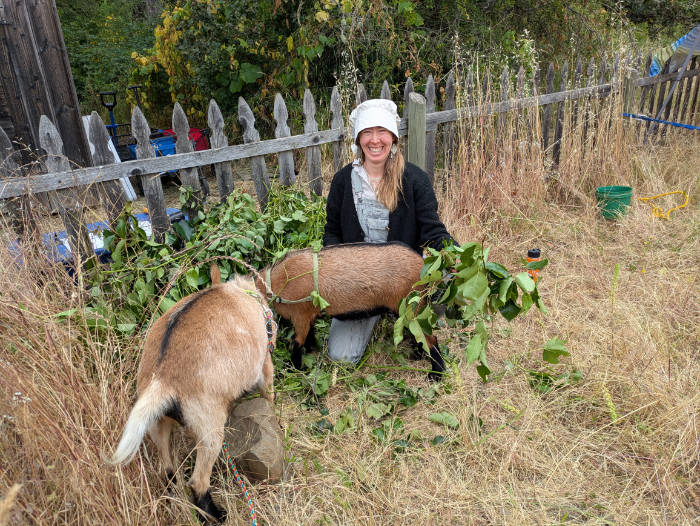 anglea petty and goats